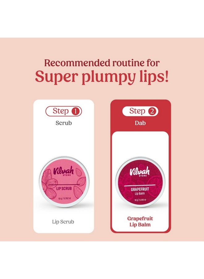vilvah STORE - Grapefruit Lip Balm | For Dry Damaged And Chapped Lips | Moisturizing Lip Balms | Enriched With Shea Butter, Unrefined Beeswax & Essential Oils | 10G (Multicolor ) - Image 1