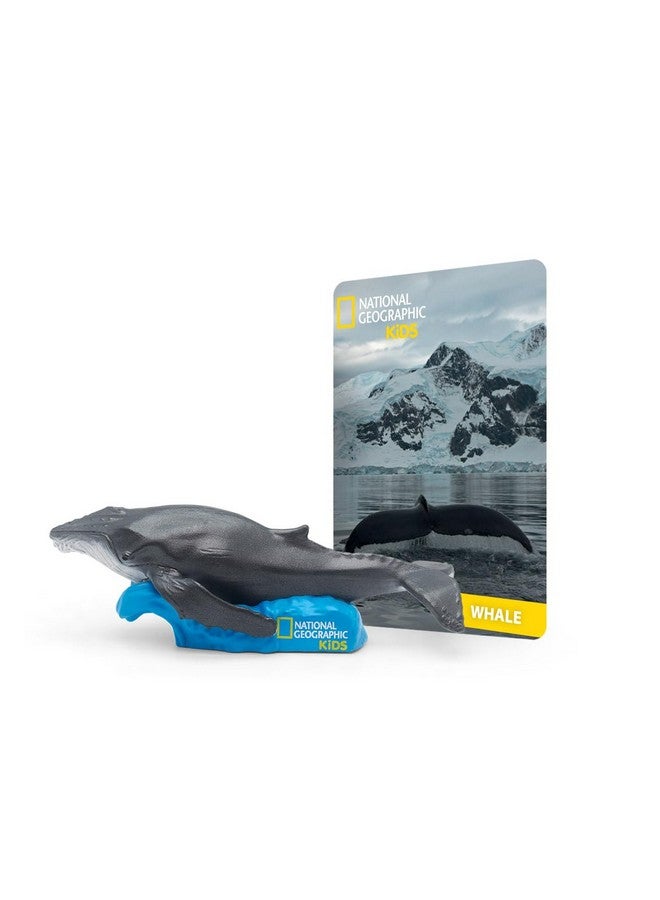 NATIONAL GEOGRAPHIC National Geographic Kids Whale Audio Toy Figurine for Tonies - Image 1