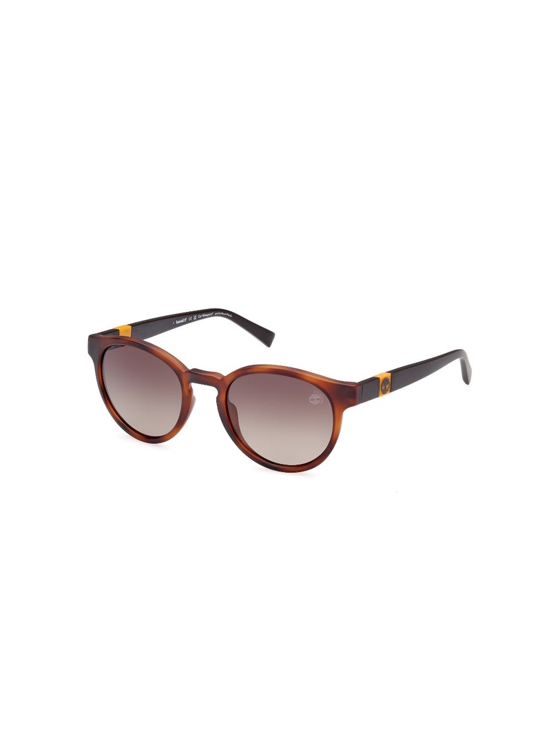 Timberland Men's Round Shape  Sunglasses TB932352H51 Lens Size: 51 Millimeter - Brown - Image 1