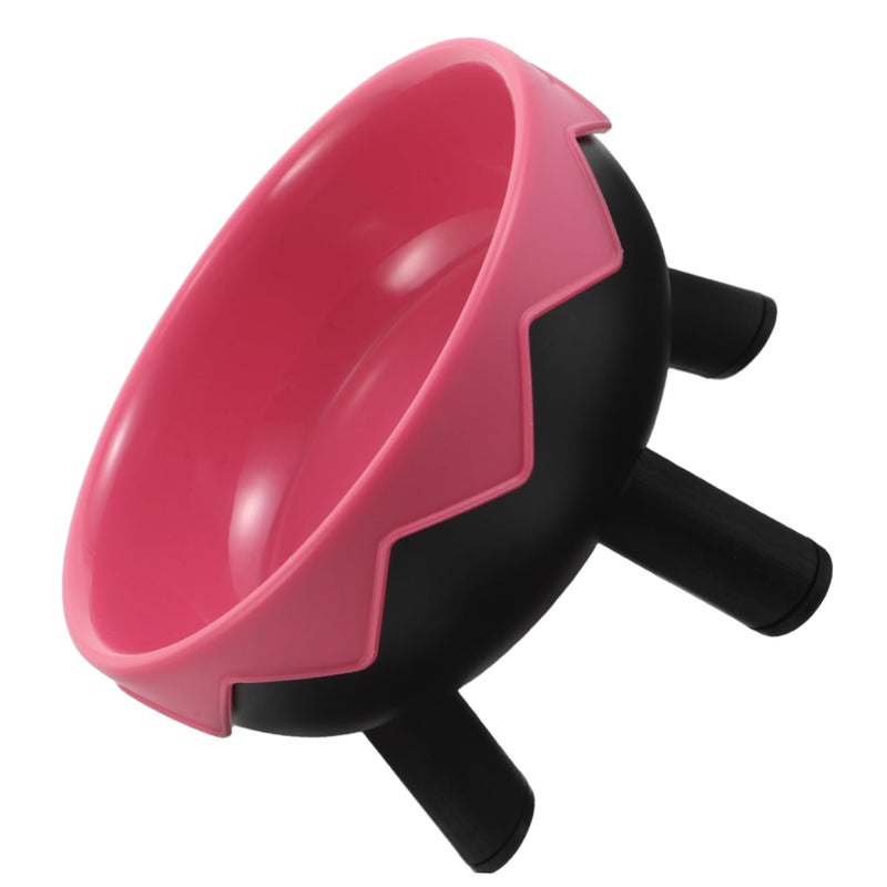 Elevated Cat Bowl With Non Slip Base And Ergonomic Tilted Design For Small Dogs And Kittens - Image 2