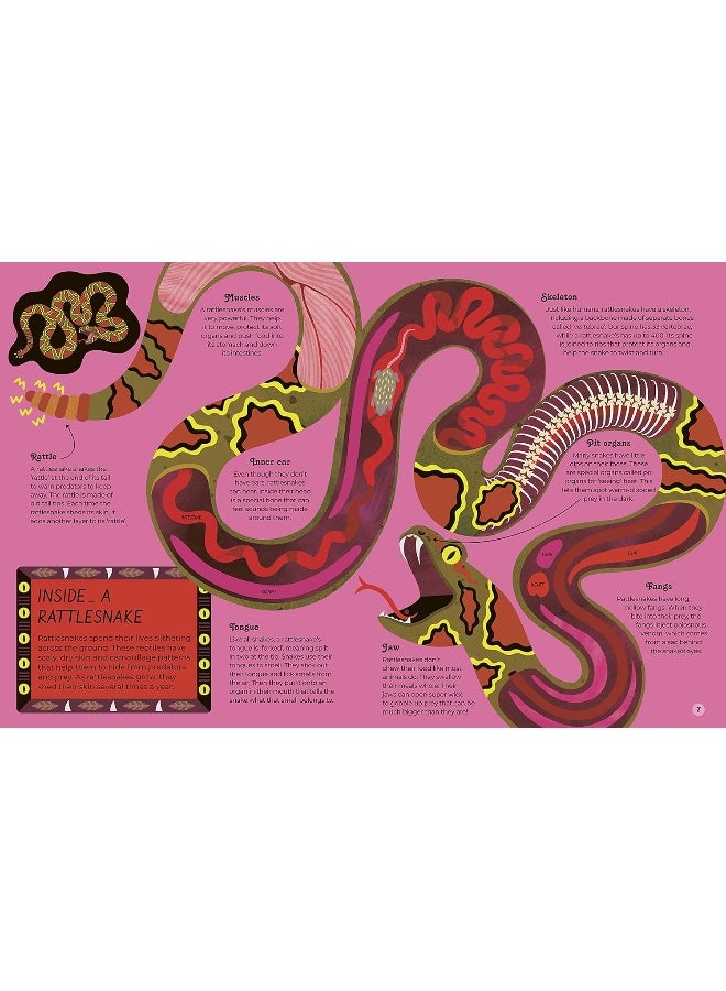 Inside Animals - Image 3