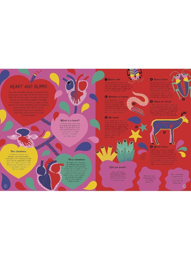 Inside Animals - Image 2