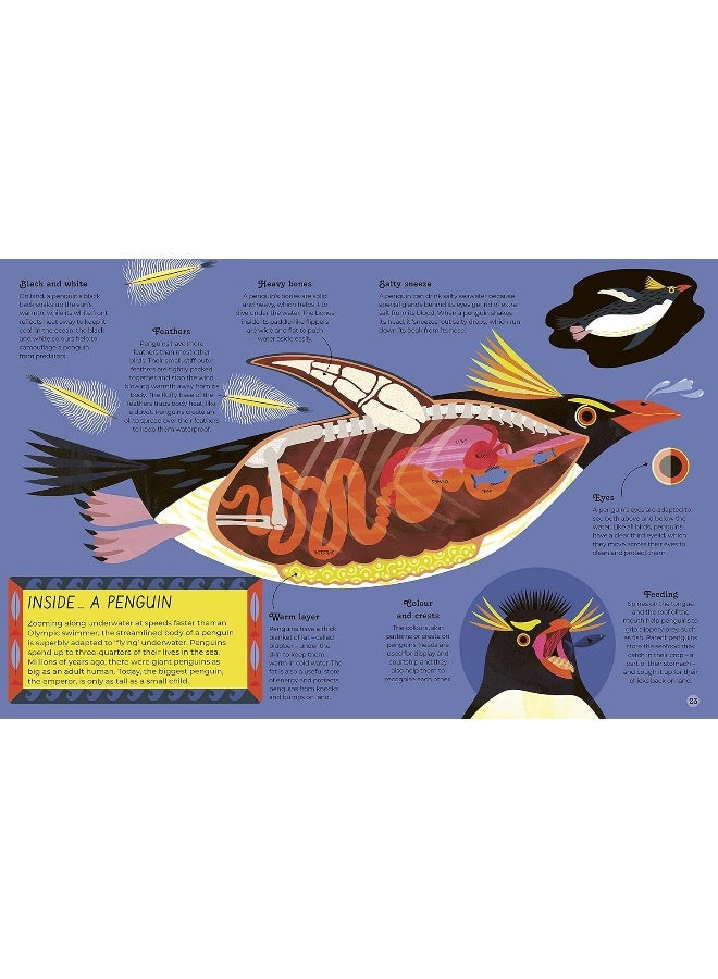 Inside Animals - Image 4