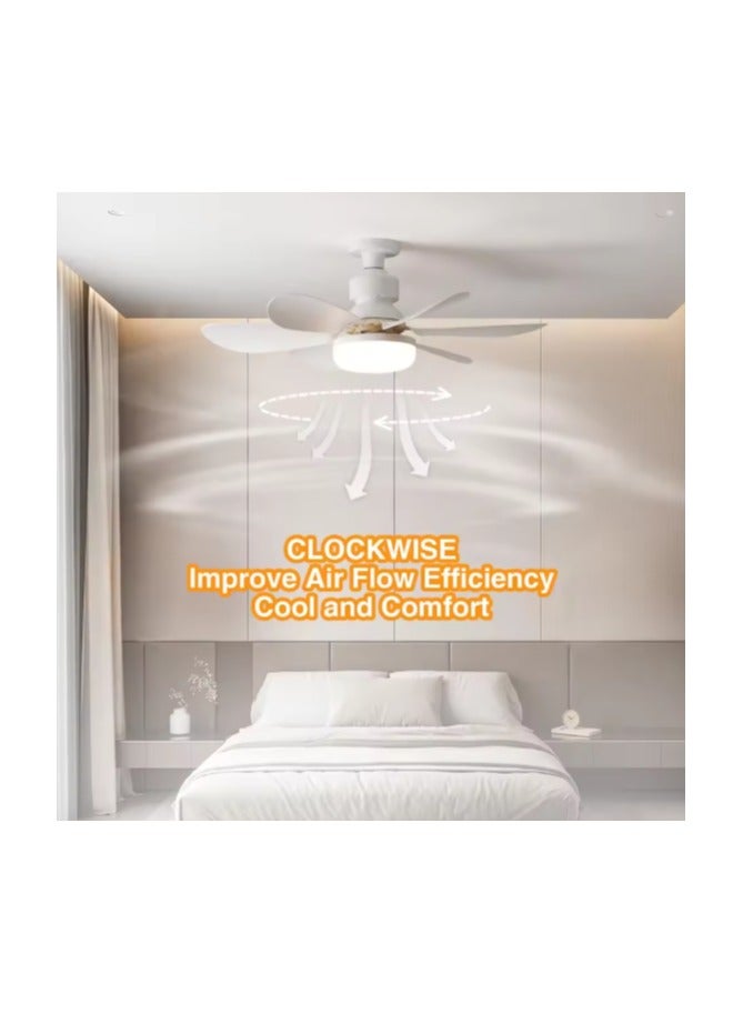 MODI Small Ceiling Fan Light with Remote – 30W LED Dimmable Fan Lamp | 3 Color Modes (3000K/4000K/6500K), Modern Low Profile Ceiling Light for Bedroom, Kitchen, Office – Quiet Motor, White - Image 3