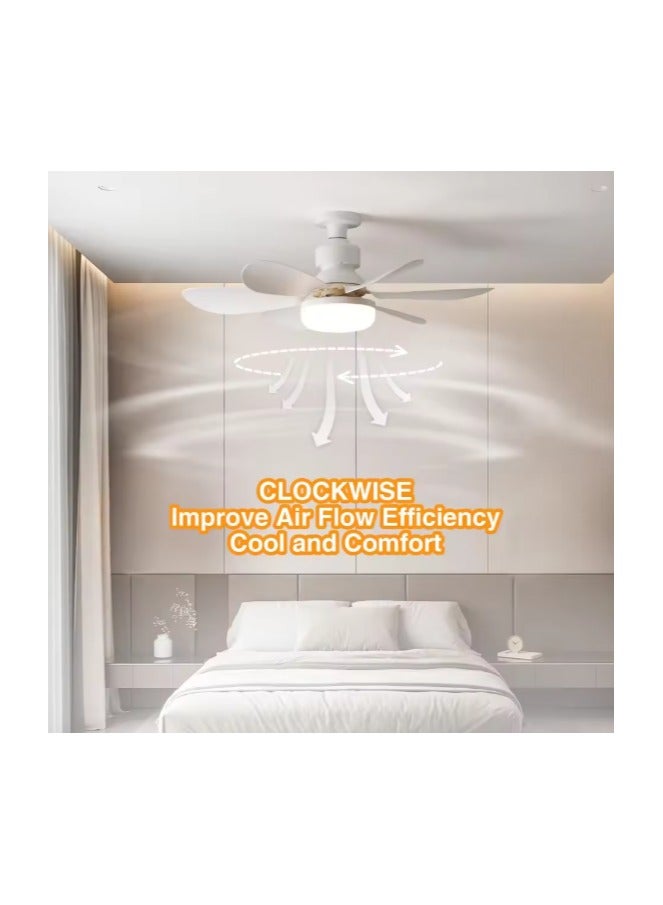 MODI Small Ceiling Fan Light with Remote – 30W LED Dimmable Fan Lamp | 3 Color Modes (3000K/4000K/6500K), Modern Low Profile Ceiling Light for Bedroom, Kitchen, Office – Quiet Motor, White - Image 5