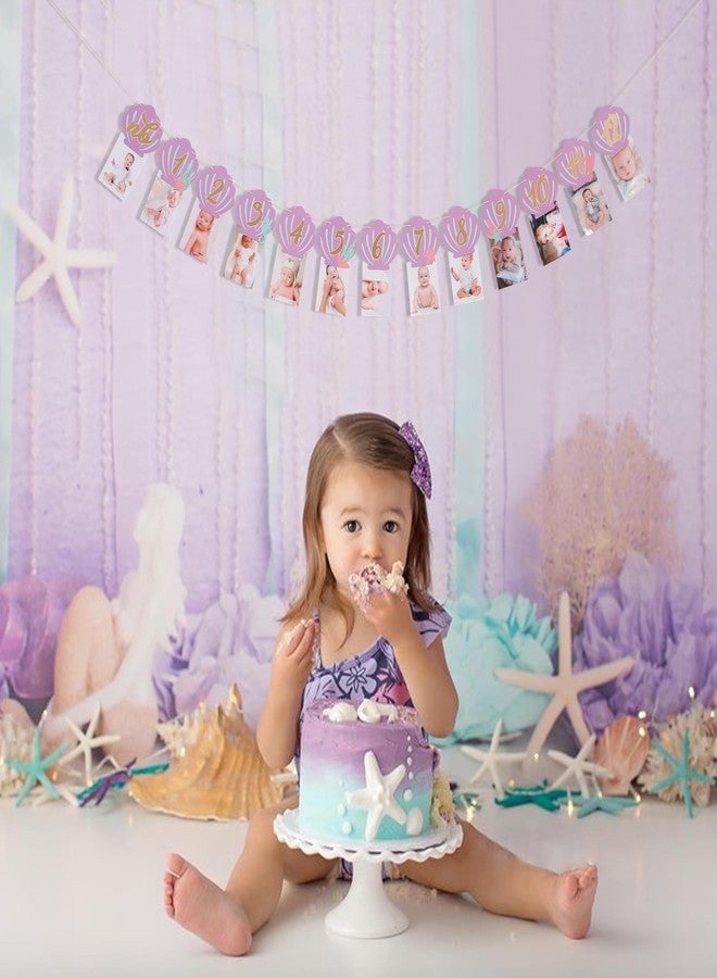 HIKLO Mermaid Monthly Milestone Photo Banner - Under the Sea First Birthday Photo Banner, Purple First Birthday Party Decorations for Girl, Seashell Newborn to 12 Months Photo Garland, Ocean Birthday Cake Smash Photo Props Backdrop - Image 4