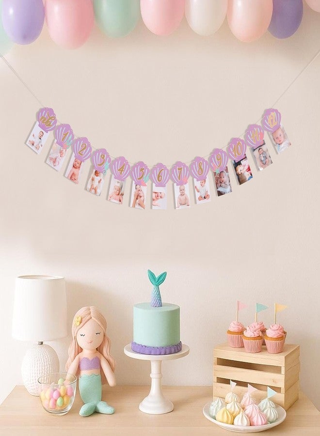 HIKLO Mermaid Monthly Milestone Photo Banner - Under the Sea First Birthday Photo Banner, Purple First Birthday Party Decorations for Girl, Seashell Newborn to 12 Months Photo Garland, Ocean Birthday Cake Smash Photo Props Backdrop - Image 5