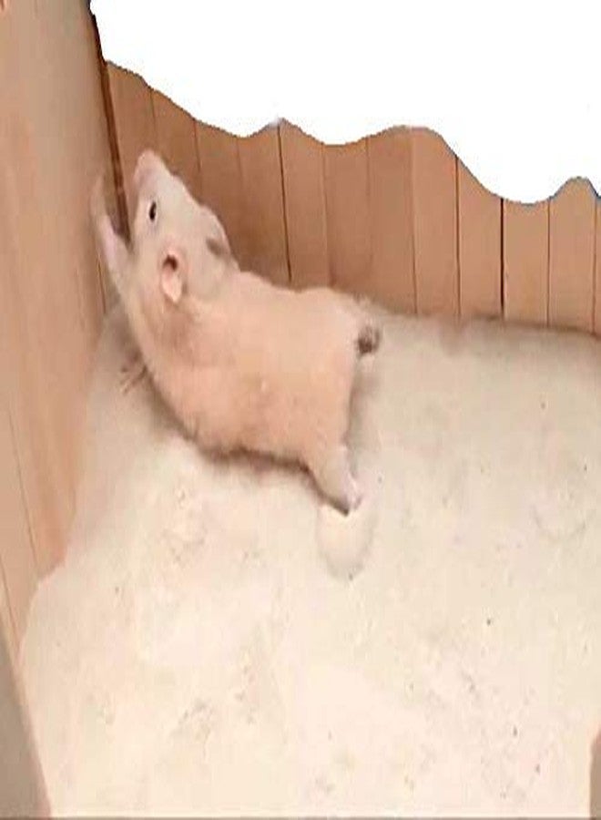 سايج سكوير حمام رملي مرح من سيج سكوير للهامستر والجرذان، اكتشف متعة الهامستر الخاص بك، أحضر الطبيعة إلى الداخل للهامستر أو الجرذان، حمام رملي مرح (200 غرام) - Image 1