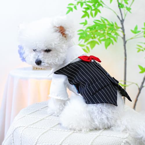 KUTKUT Dog Cat Wedding Shirt, Dog Striped Tuxedo with Bow Tie D-Ring, Dog Wedding Formal Suit, Doggie Prince Gentleman Costume for Small Dogs & Cats (Size: M, Chest: 38-42cm) - Image 5
