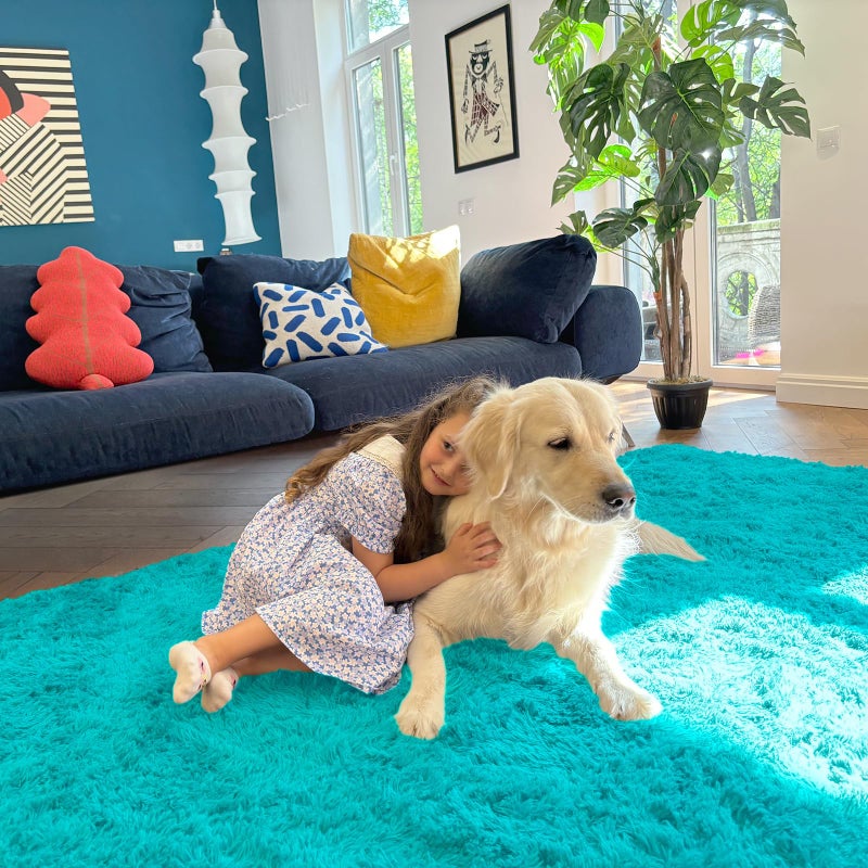 OLANLY Area Rugs for Living Room Bedroom, Machine Washable 4x5.9 ft Soft Fluffy Shaggy Bedside Rug, Indoor Floor Carpet for Kids Girls and Boys, Dorms, Nursery Rooms, Home Decor Aesthetic, Teal Blue - Image 5