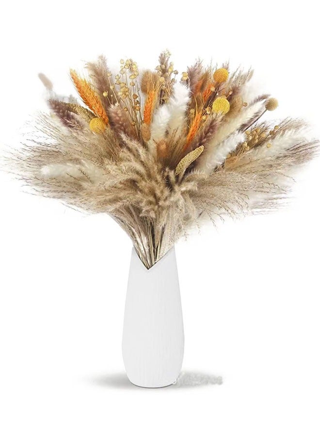 زي سي إم - هابي مجموعة من عشبة البامبا الطبيعية المجففة - Image 1