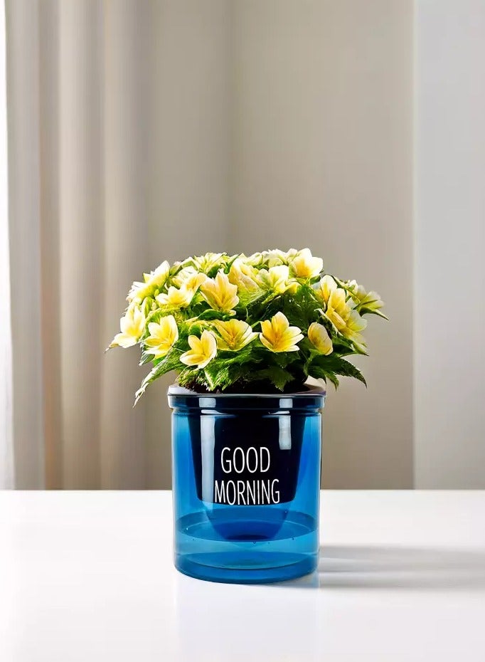 vsell24 AutoWater Bloom, Self-Watering Hydroponic Planter - Transparent Double Layer Resin Flower Pot for Effortless Plant Growth, Blue  - Image 1