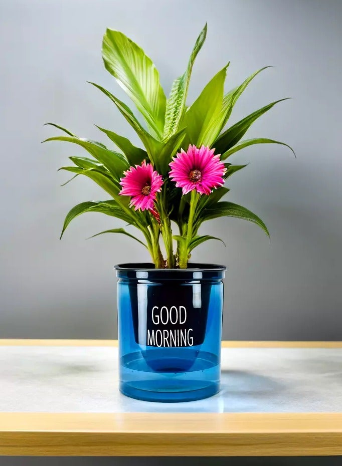vsell24 AutoWater Bloom, Self-Watering Hydroponic Planter - Transparent Double Layer Resin Flower Pot for Effortless Plant Growth, Blue  - Image 2