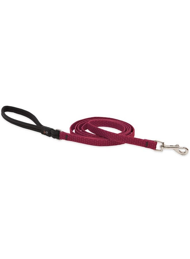 Lupine Small Dog Leash by Lupine ECO Collection 1/2" Wide Berry 4-Foot Long with Padded Handle - Image 1