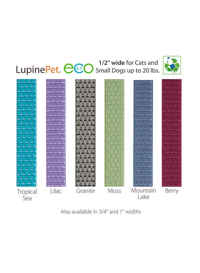 Lupine Small Dog Leash by Lupine ECO Collection 1/2" Wide Berry 4-Foot Long with Padded Handle - Image 2