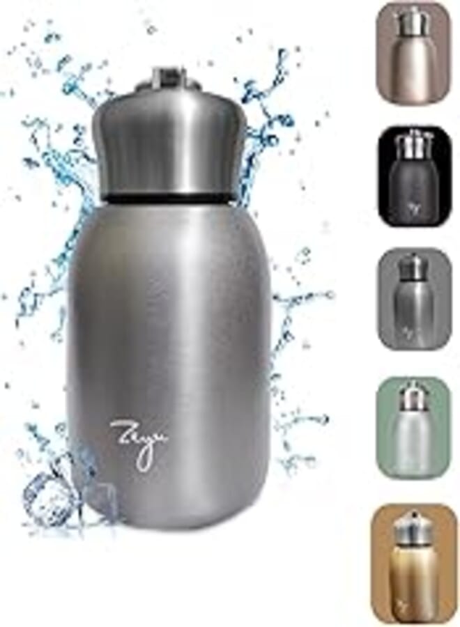 hanso Mini Vacuum Insulated Flask Thermal Mug Coffee Vacuum Container Flasks Thermos Portable Travel Water Bottle Cup 304 Stainless Steel Thermos for Tea & Coffee 300ML (Silver) 