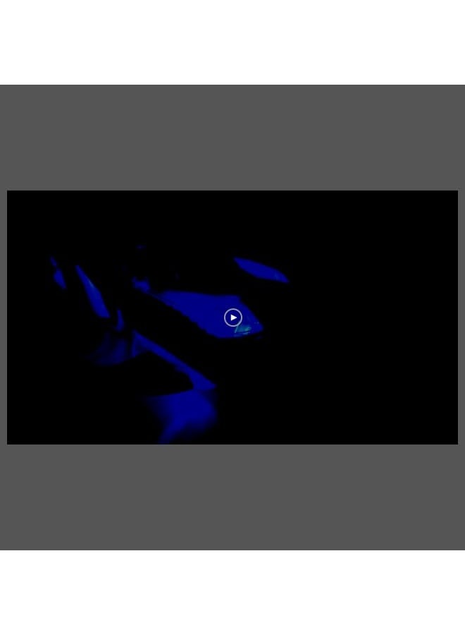 شارك لعبة سمكة القرش للأطفال - سمكة قرش شفافة مع ضوء وموسيقى، لعبة Gear الكهربائيةmechanical للأولاد والبنات، هدايا للأطفال من 1-3 سنوات، أبيض وأسود - Image 5