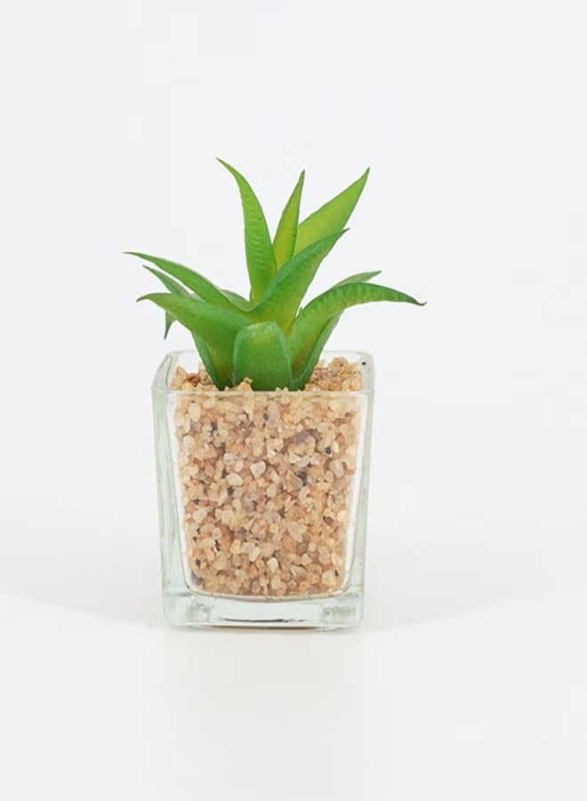 Rahalife Artificial Succulent Bonsai – Realistic Home & Office Decorative Plants Pack of 2 - Image 1