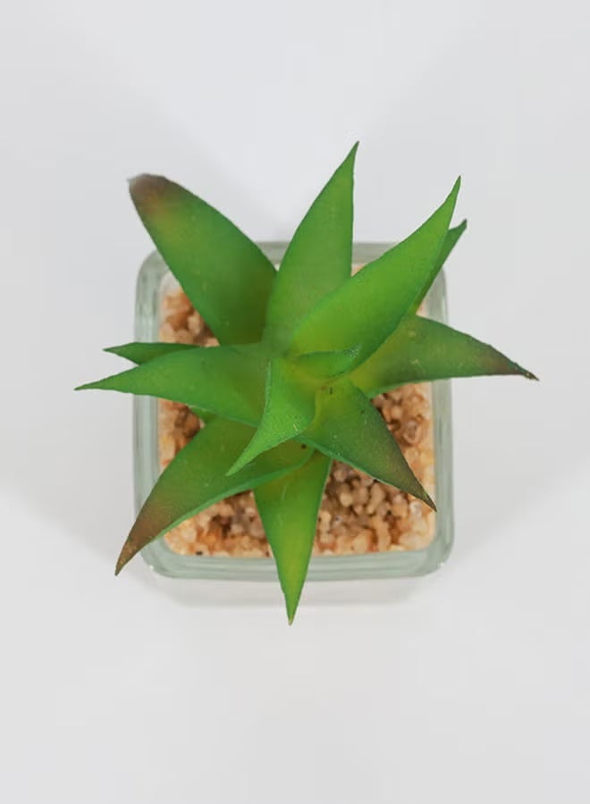 Rahalife Artificial Succulent Bonsai – Realistic Home & Office Decorative Plants Pack of 2 - Image 2