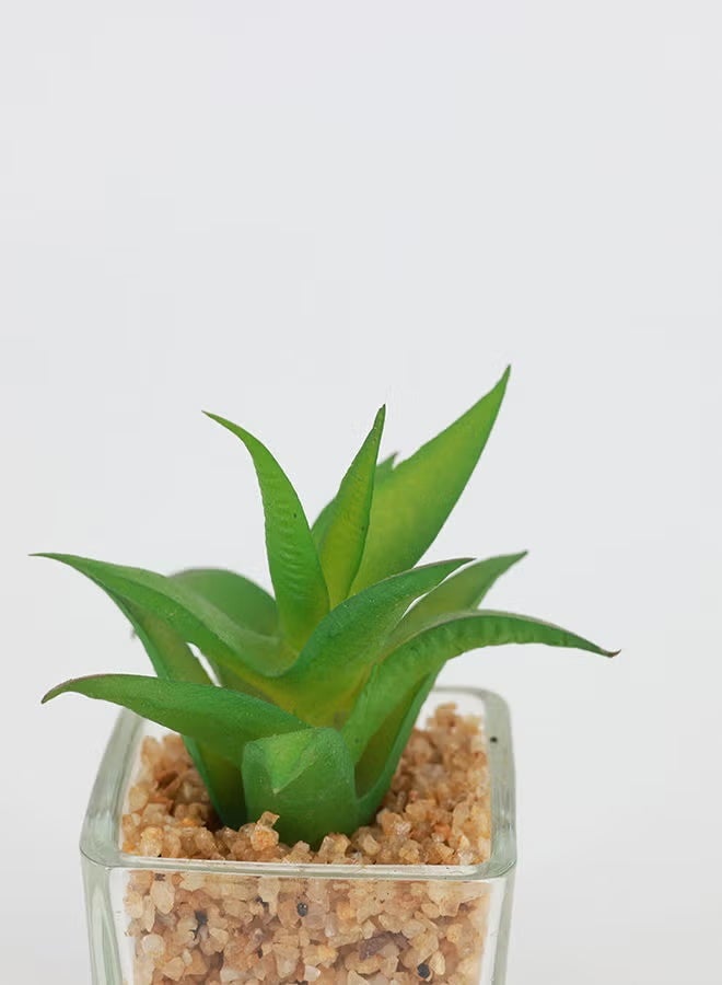 Rahalife Artificial Succulent Bonsai – Realistic Home & Office Decorative Plants Pack of 2 - Image 3