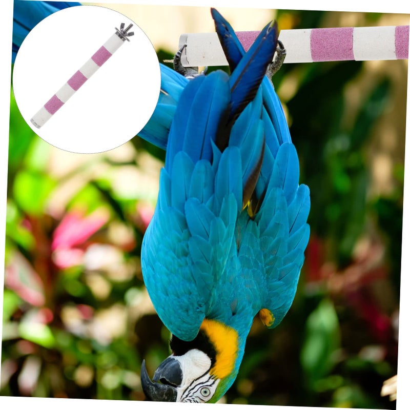 Stainless Steel 20cm Parrot Perch Bite Resistant Paw Grinding Stand for Cockatiels Lovebirds - Image 5