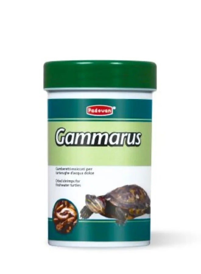 Gammarus - 12G