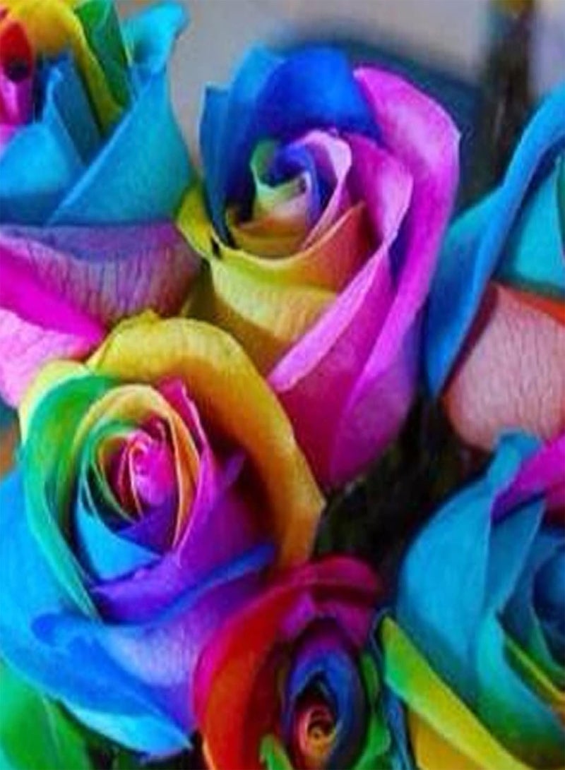 جي جوت بذور الورد، 100 قطعة من بذور النباتات المتكتلة سهلة الإنبات، بذور الورد المختلطة الطبيعية الجذابة، لوازم الحدائق متعددة الألوان - Image 5