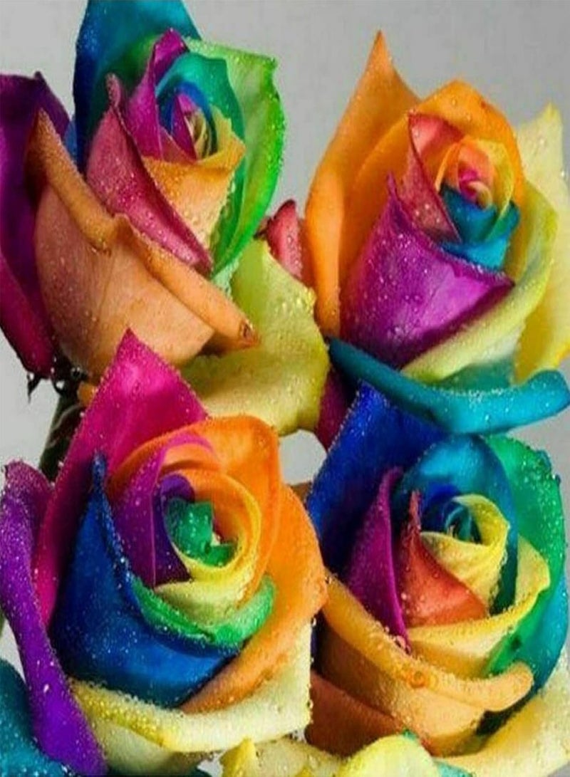 جي جوت بذور الورد، 100 قطعة من بذور النباتات المتكتلة سهلة الإنبات، بذور الورد المختلطة الطبيعية الجذابة، لوازم الحدائق متعددة الألوان - Image 3