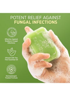 Roycederm Roycederm Antifungal Antibacterial Tea Tree Soap: Antifungal Antibacterial Treatment for Face & Body Acne, Athlete's Foot, Tinea, Folliculitis Ringworm Jock Itch (Pack of 1)  - Image 2