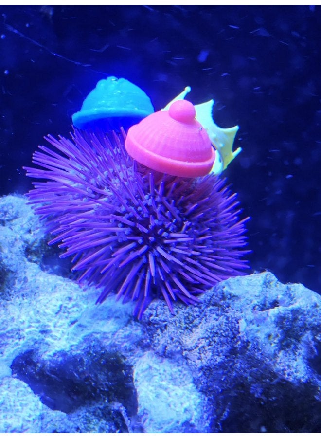 قبعات قنفذ البحر العامة، مصنوعة من بلاستيك PTEG ثلاثي الأبعاد آمن على الشعاب المرجانية، ديكور ممتع لحوض السمك الخاص بك، من صنع شركة SimplySafe Aquatics، متنوعة - Image 1