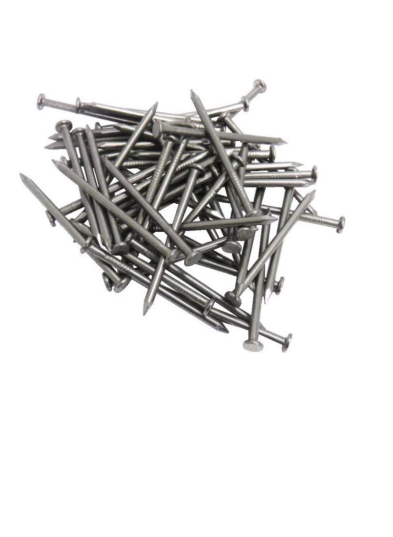 High Strength Round Head Nails For Carpentry Hardware Electrical Etc (300, 5 inch) - Image 2