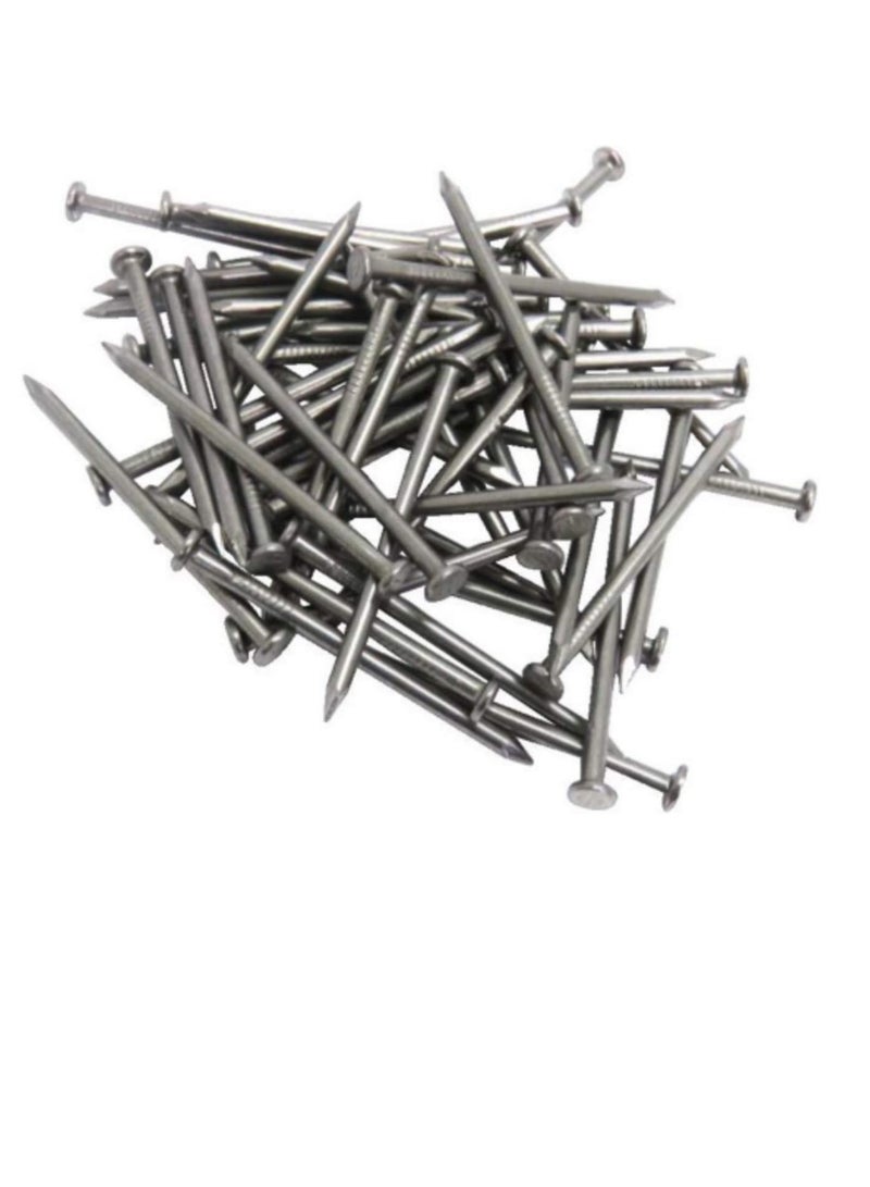 High Strength Round Head Nails For Carpentry Hardware Electrical Etc (300, 5 inch) - Image 1