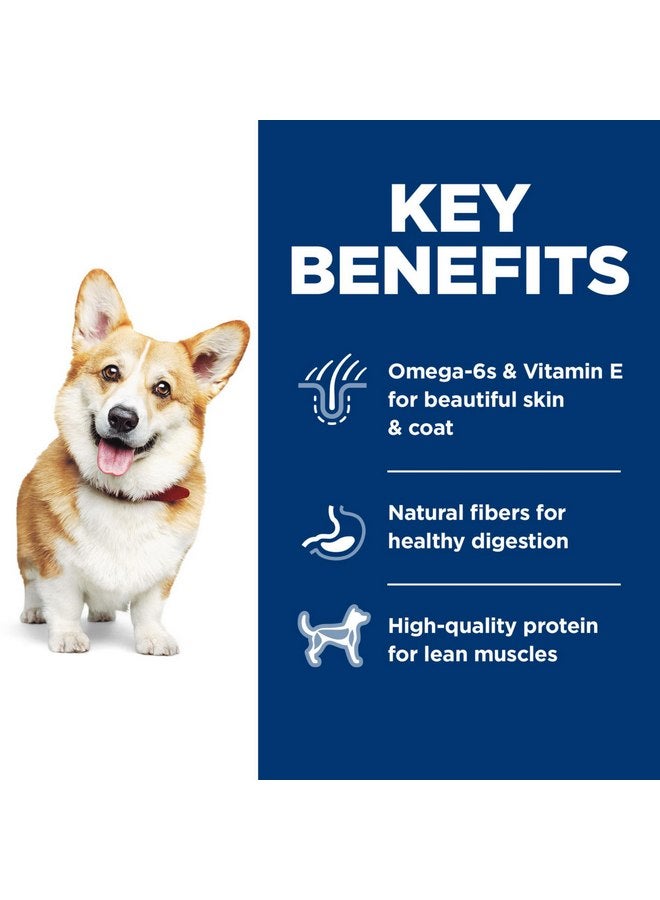 Hill's Science Diet - Small Bites, Chicken & Barley Recipe Dry Dog Food, 5 LB Bag - Image 3