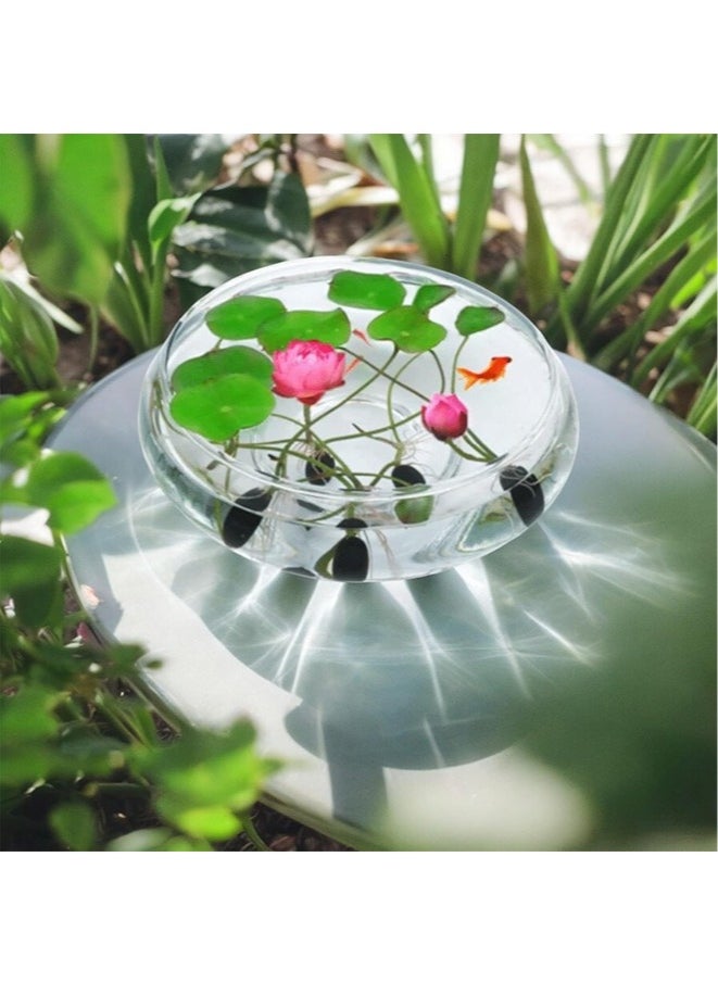 Generic - 20pcs Mixed Water Lily Flower Seeds(Pink Red & Green)for Planting Beautiful Water Plants for Indoor Bonsai, Outdoor Ponds - Image 1