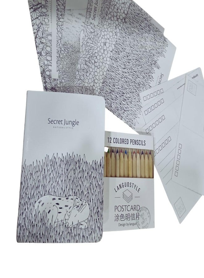 QIPS Postcard Coloring Set - Includes Hand-Painted Postcards, Small Sketchbook & 12 Colored Pencils - Creative Art Kit for Relaxation & Greetings (Secrets Hidden in Flowers) - Image 3