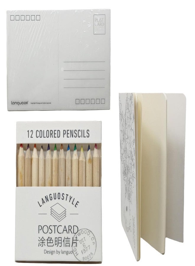 QIPS Postcard Coloring Set - Includes Hand-Painted Postcards, Small Sketchbook & 12 Colored Pencils - Creative Art Kit for Relaxation & Greetings (Secrets Hidden in Flowers) - Image 2