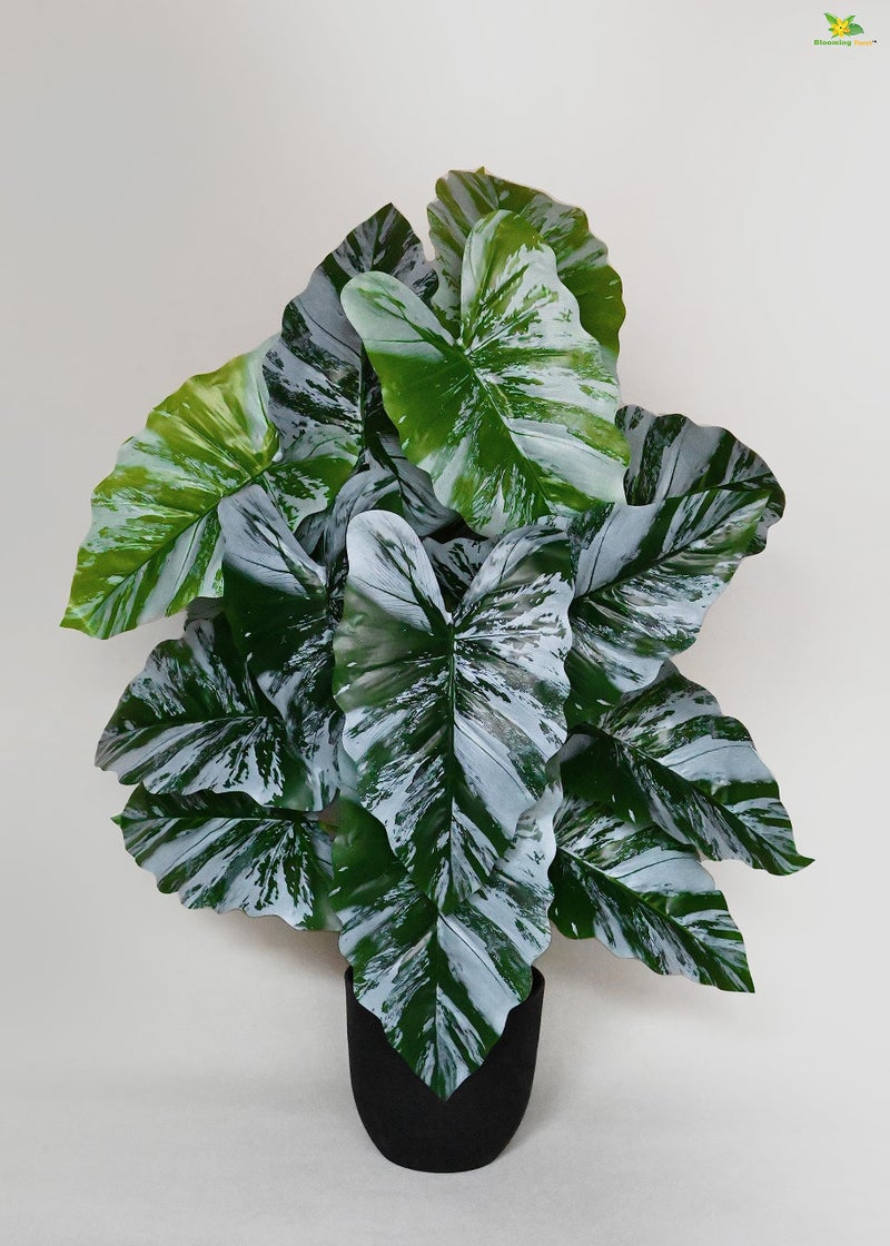Blooming Floret Artificial Caladium Plant | 78.7 cm Tall with 18 Lifelike Leaves | Durable Faux Indoor Plant with Black Pot for Home & Office Decor - Image 1
