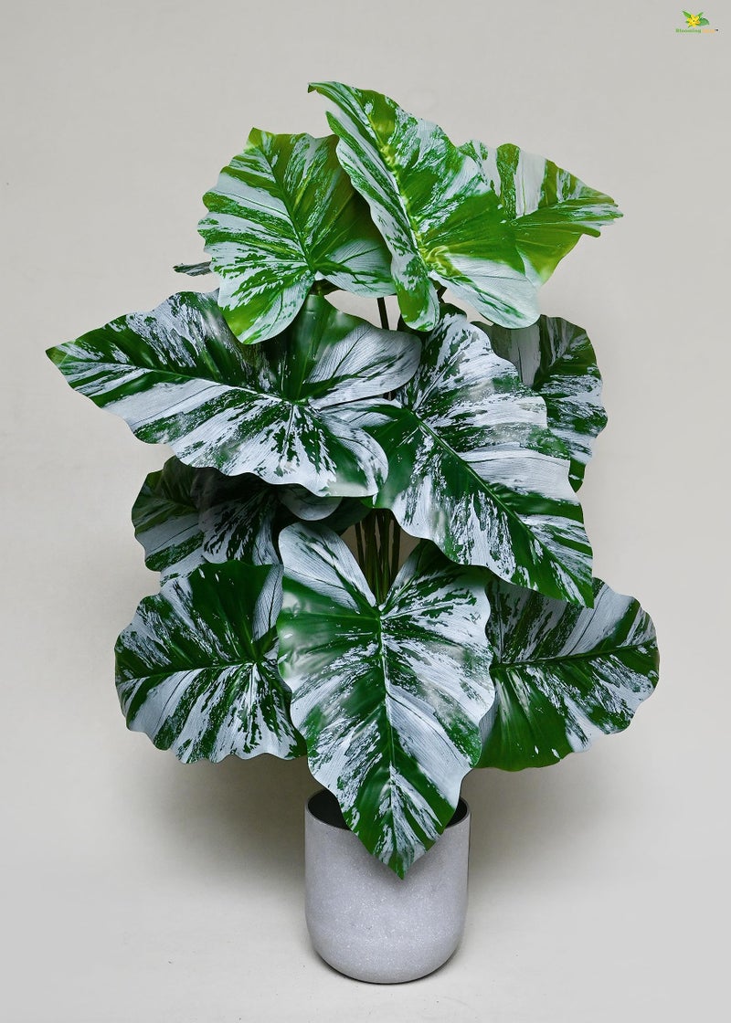 Blooming Floret Artificial Caladium Plant | 78.7 cm Tall with 18 Lifelike Leaves | Durable Faux Indoor Plant with Black Pot for Home & Office Decor - Image 5