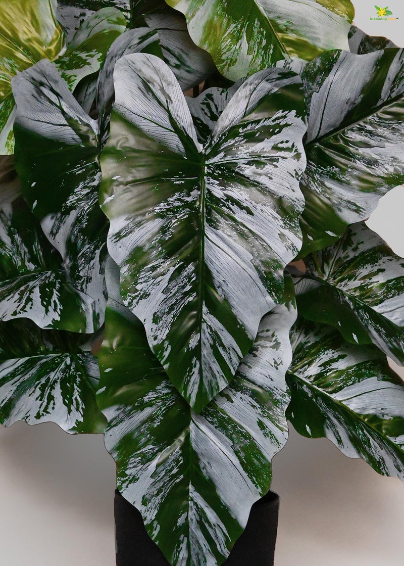 Blooming Floret Artificial Caladium Plant | 78.7 cm Tall with 18 Lifelike Leaves | Durable Faux Indoor Plant with Black Pot for Home & Office Decor - Image 2