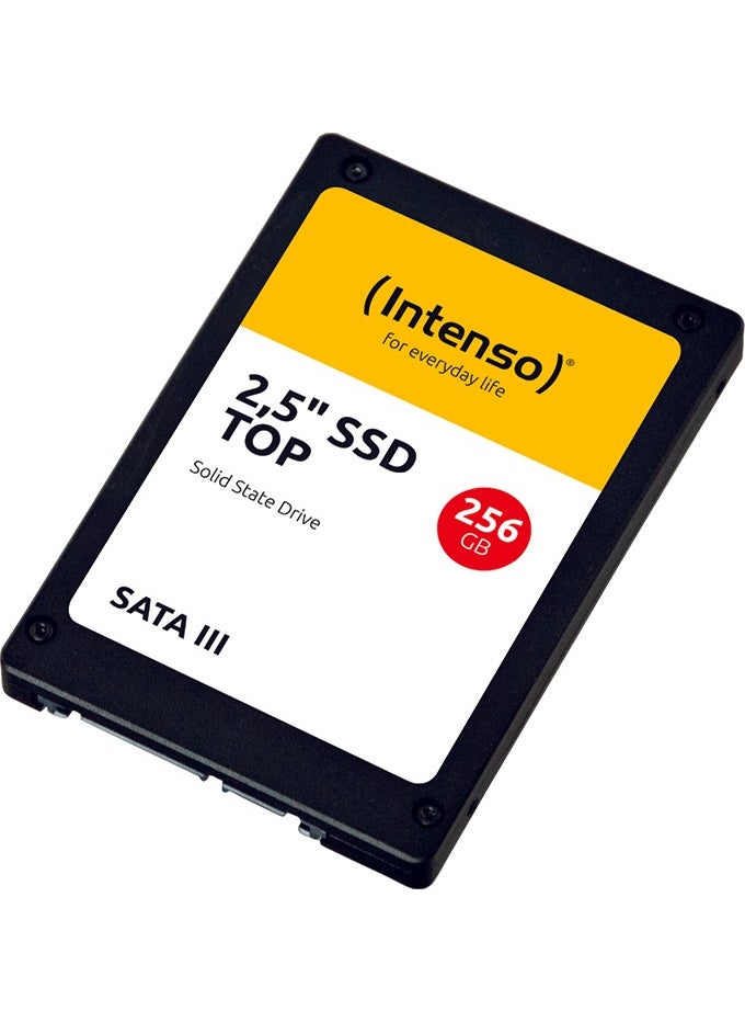 Top 256GB 520MB-500MB Sata3 SSD - pzsku/ZE86E0D13D7BED8A935E2Z/45/_/1725790950/a1cc4d6c-9af7-4645-957b-9358c4af18ac