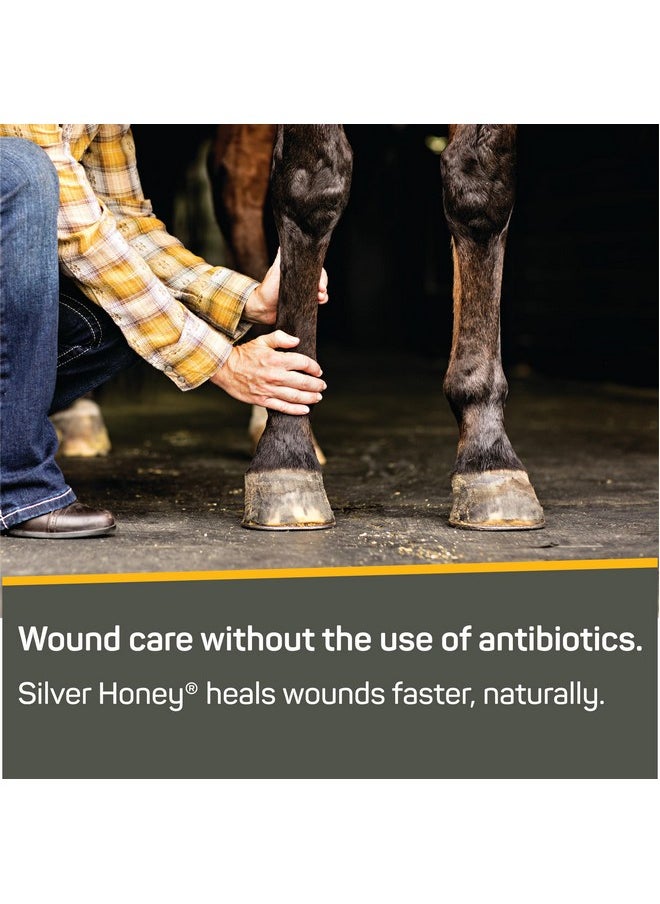 Absorbine - Silver Honey Rapid Wound Repair Spray Gel 8Oz Bottle, Medical Grade Manuka Honey & Microsilver Bg - Image 1