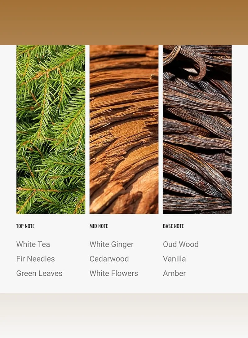 Hotel Collection Botanical Garden Fragrance Oil Blend - Hotel Inspired for Luxury Essential Oil Diffusers - Aromatherapy Scent Diffuser Oil - Green Leaves, White Ginger, and Vanilla