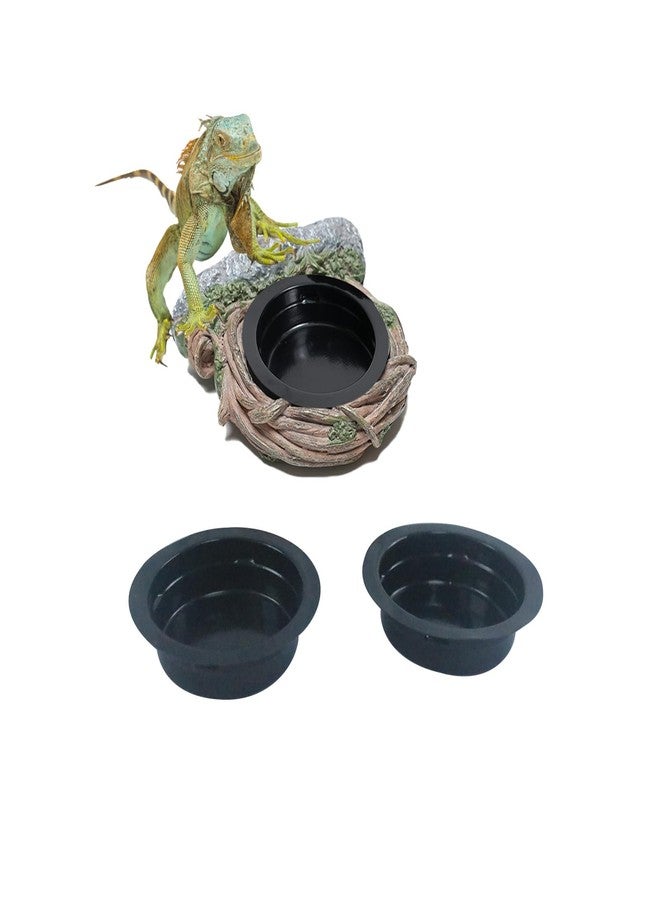 Repticircle Reptile Feeding Ledge with 2 Cups, Hollow Vine Food Dish & Water Bowl for Bearded Dragon, Gecko, Lizard & Snake - Reptile Tank Accessories for Terrariums - Image 5