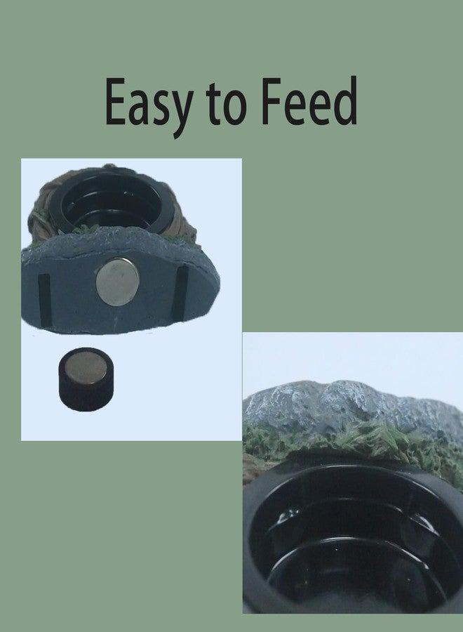 Repticircle Reptile Feeding Ledge with 2 Cups, Hollow Vine Food Dish & Water Bowl for Bearded Dragon, Gecko, Lizard & Snake - Reptile Tank Accessories for Terrariums - Image 2