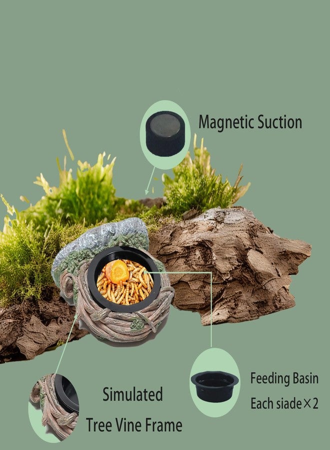 Repticircle Reptile Feeding Ledge with 2 Cups, Hollow Vine Food Dish & Water Bowl for Bearded Dragon, Gecko, Lizard & Snake - Reptile Tank Accessories for Terrariums - Image 3