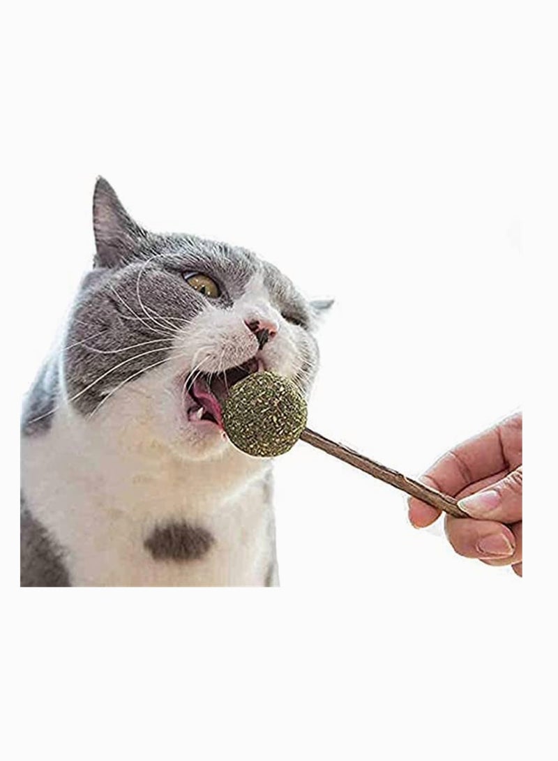 Cat Catnip Lollipop 3 Pack Mint Ball Natural Sticks Dental Chews Treats Toys for Cat Teeth Cleaning Oral Care Helps with Bad Breath - Image 1