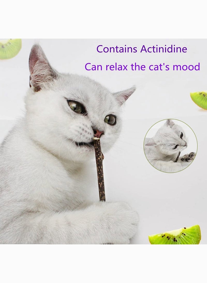 Cat Catnip Lollipop 3 Pack Mint Ball Natural Sticks Dental Chews Treats Toys for Cat Teeth Cleaning Oral Care Helps with Bad Breath - Image 2