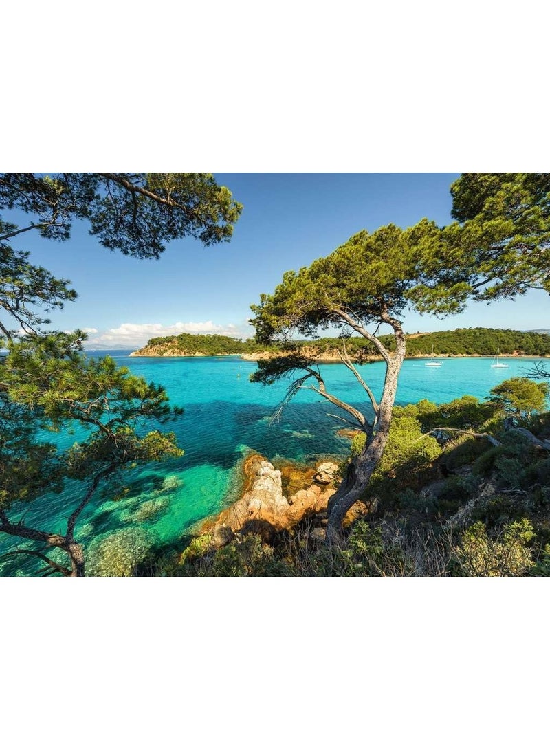 Ravensburger SchÃ¶ne Aussicht Puzzle â€“ 500 Piece Jigsaw Puzzle for Adults and Kids Featuring a Beautiful Scenic View, Premium Quality with Perfect Fit Pieces for Relaxing and Educational Fun | 12000219-2 - Image 2