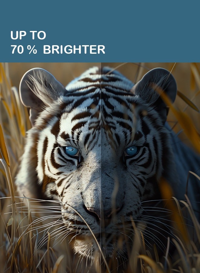 SREEN Smart Screen 65 Inches - 4K - LED - Android 13 - Without Frame - Free Wall Mount - SRET-65S4K1 - Image 5