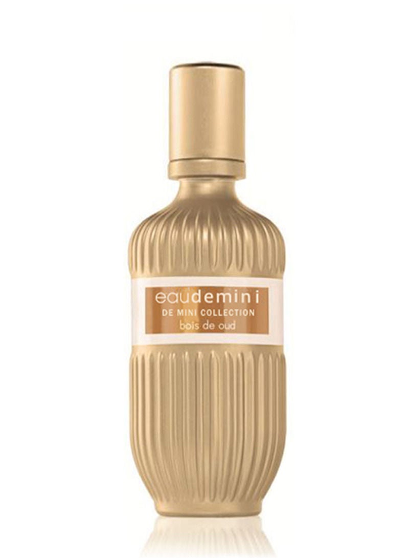 ميني كوليكشن ايودي ميني بويز دي عود 25 مل - Image 2